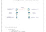 do cisco packet tracer and computer networking assignments